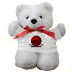 Galaxy of Thrills Teddy Bear